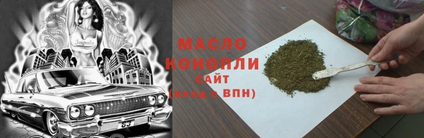 индика Медногорск