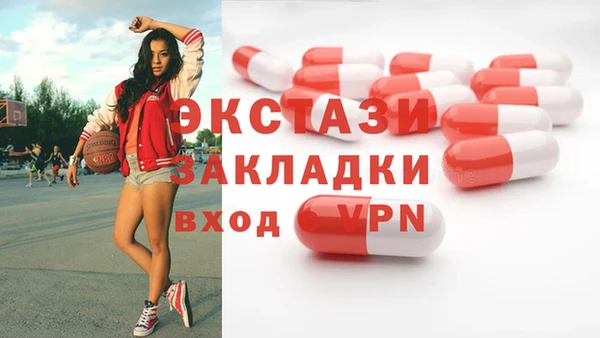 индика Медногорск