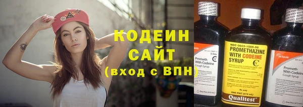 индика Медногорск