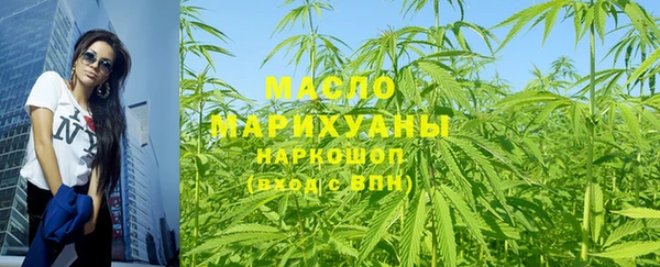 индика Медногорск