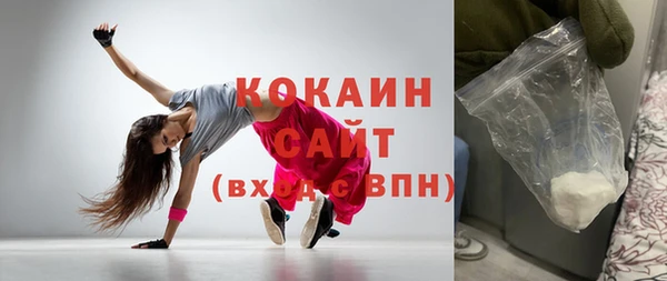 индика Медногорск