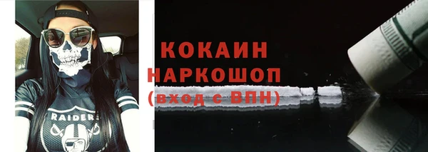 индика Медногорск