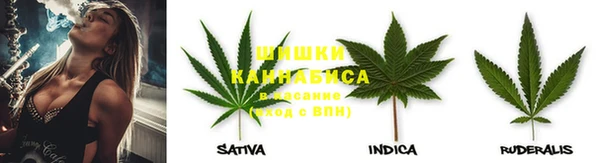 индика Медногорск