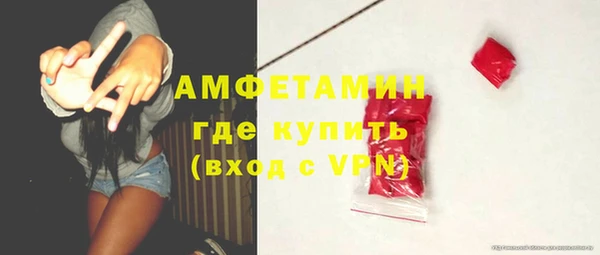 индика Медногорск