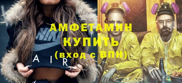 индика Медногорск