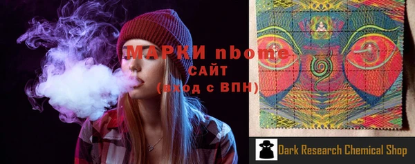 индика Медногорск