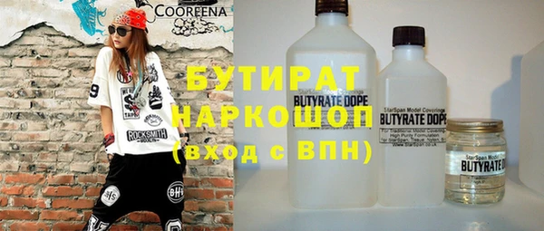 индика Медногорск