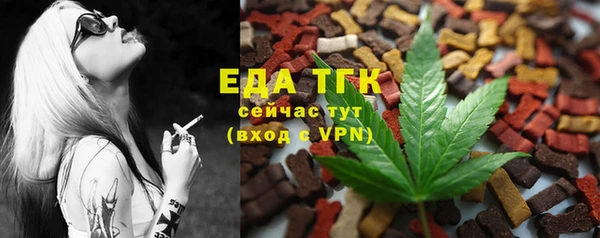 индика Медногорск