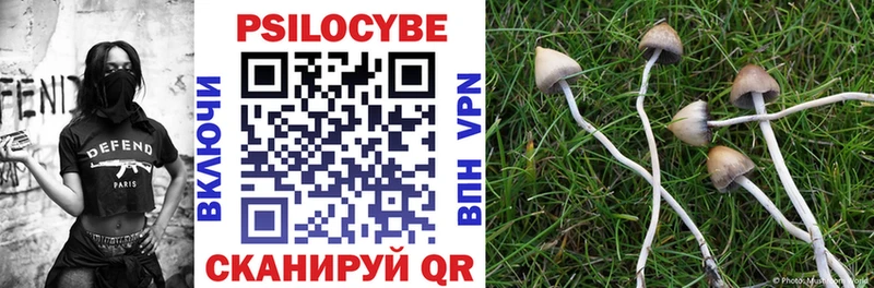 Псилоцибиновые грибы мицелий  Купить закладки  Слободской 